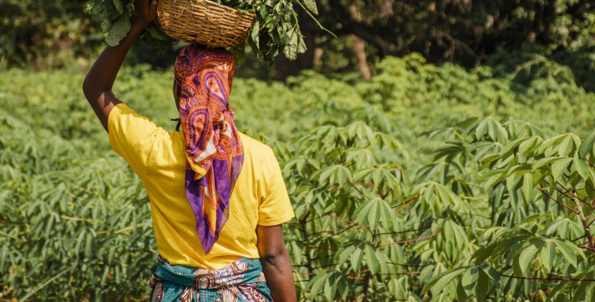 Laurence Cormier, le choix de la terre